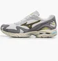 Кроссовки мужские Mizuno Wave Rider 10 Grey D1GA232101