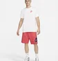 Шорты мужские Nike M Nk Club Ft Alumni Short Pink Dm6817-657