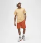 Шорты мужские Air Jordan Essentials Shorts Orange DX9675-812