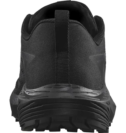 Кросівки унісекс Salomon Sense Ride 5 Sr Black L47377600