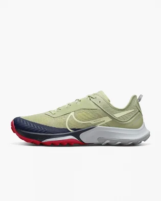 Кроссовки мужские Nike Air Zoom Terra Kiger 8 Olive Dh0649-300