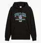 Худи мужское Puma Sports Legacy Graphic French Terry Black 629629-01