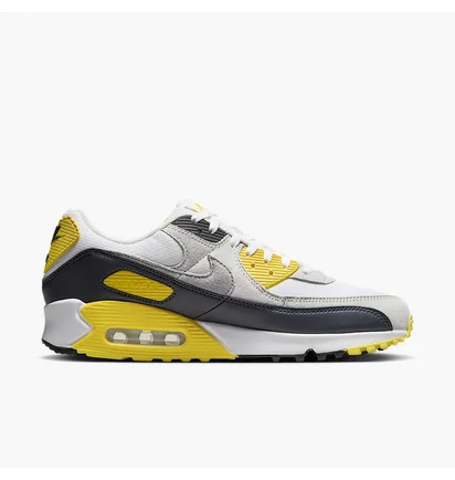 Кросівки чоловічі Nike Air Max 90 Multi DM0029-111