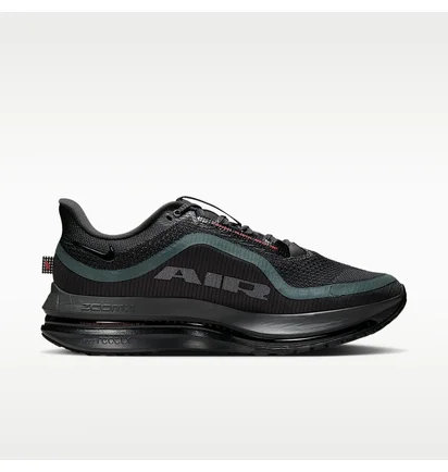 Кроссовки мужские Nike Pegasus Premium Black HQ2592-011