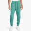 Штаны мужские Nike Sportswear Tech Fleece S Joggers Turquoise Cu4495-381