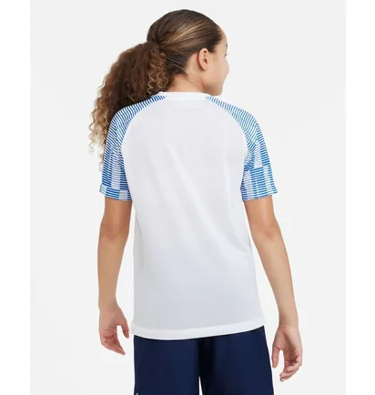 Футболка детская Nike Dri-Fit Academy White DH8369-102