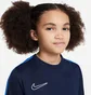 Футболка детская Nike Dri-Fit Academy 23 Blue DR1343-451