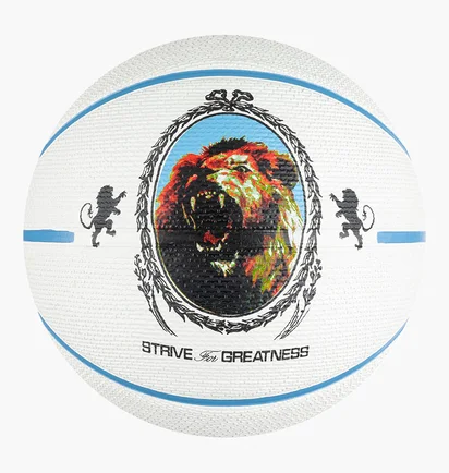 Баскетбольний м'яч Nike Everyday Playground 2.0 White N1004372-086