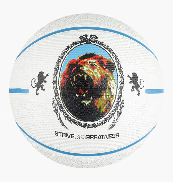 Баскетбольний м'яч Nike Everyday Playground 2.0 White N1004372-086