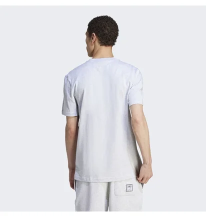 Футболка мужская Adidas Aac Tee White IM4572