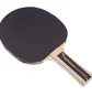 Ракетка для настольного тенниса Donic Waldner 500 Black/Red 723062