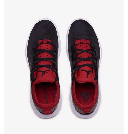 Кросівки чоловічі Air Jordan Proto-Lyte Black at3381-006