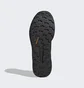 Кросівки чоловічі Adidas Terrex Trailrider Black Gw5534
