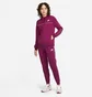 Толстовка жіноча Nike W Nsw Mlnm Essntl Flc Fz Hdy Violet CZ8338-610