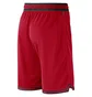Шорты мужские Nike Chicago Bulls Dna Red DH9169-657