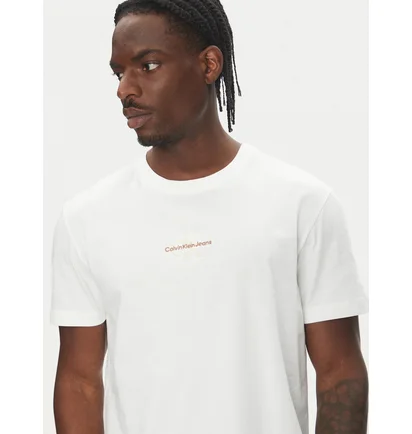 Футболка чоловіча Calvin Klein Monologo Regular Fit White J30J325649-YBI