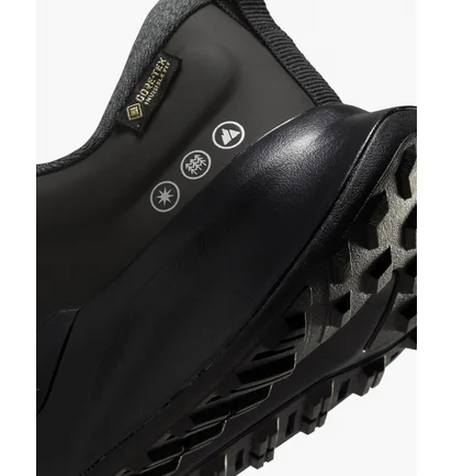 Кросівки жіночі Nike Juniper Trail 2 Gore-Tex Waterproof Trail Running Shoes Black FB2065-001