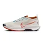 Кроссовки мужские Nike Pegasus Trail 5 Gore-Tex Beige FQ0908-003