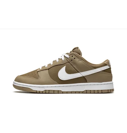 Кроссовки мужские Nike Dunk Low Retro Brown DJ6188-200