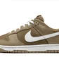 Кроссовки мужские Nike Dunk Low Retro Brown DJ6188-200