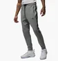 Штани чоловічі Air Jordan Dri-Fit Sport Grey Dv9785-063