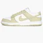 Кросівки чоловічі Nike Dunk Low Retro White/Beige DV0833-100