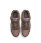 Кроссовки женские Nike Dunk Low W Brown FZ2552-001