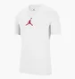 Футболка чоловіча Air Jordan Jumpman Df Ss Crew White CW5190-100