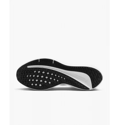 Кроссовки мужские Nike Winflo 10 Black DV4022-003