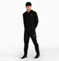 Толстовка чоловіча Puma Essentials Full-Zip Black 847219-01