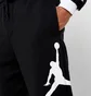 Штаны мужские Air Jordan Jumpman Logo Flc Pant Black Bq8646-010
