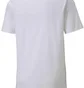Футболка мужская Puma Teamgoal 23 Casuals Tee White 65657804