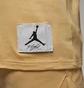 Майка чоловіча Air Jordan Essentials Yellow DX9585-251