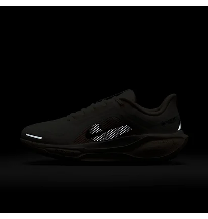 Кросівки жіночі Nike W Pegasus 41 Gore Tex Beige FQ1357-100