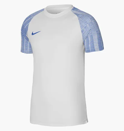 Футболка мужская Nike Dri-Fit Academy White Dh8031-102