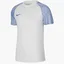 Футболка мужская Nike Dri-Fit Academy White Dh8031-102