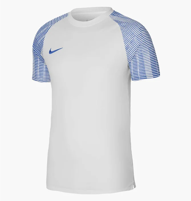 Футболка мужская Nike Dri-Fit Academy White Dh8031-102