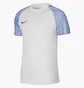 Футболка мужская Nike Dri-Fit Academy White Dh8031-102