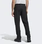 Штаны мужские Adidas Terrex Liteflex Hiking Pants Black HN2953