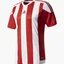 Футболка мужская Adidas Jersey Striped 15 Jsy White/Red S16137