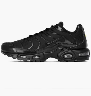 Кроссовки мужские Nike Air Max Plus Triple Black 604133-050