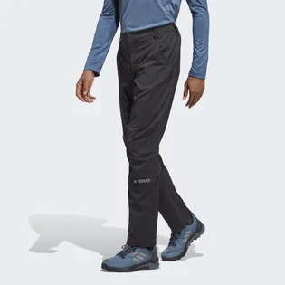 Штаны мужские Adidas Terrex Multi Woven Pants Black Hm4032