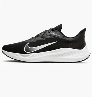Кросівки чоловічі Nike Zoom Winflo 7 Black CJ0291-005