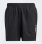 Шорты мужские Adidas Terrex Multi Shorts Black Hm4013