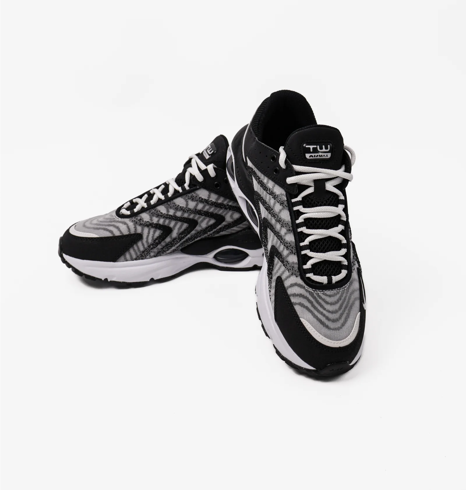 ᐉ Кроссовки мужские Nike Air Max Tw Black/White Dq3984-001