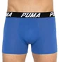 Трусы мужские Puma Spacedye Stripe Boxer Multi (2 шт) 501002001-030