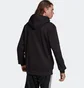Худі чоловіче Adidas Adicolor Spinner Hoodie Black Hc4490