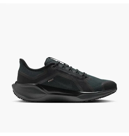 Кросівки чоловічі Nike Air Zoom Pegasus 41 Gtx Black FQ1356-001