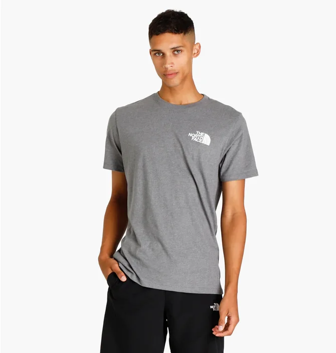 Футболка мужская The North Face Box Nse Tee Grey NF0A4763GVD