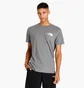 Футболка мужская The North Face Box Nse Tee Grey NF0A4763GVD